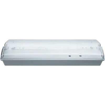 Аварийное освещение LED NEF-07 (IP65)