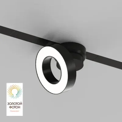 Трековый светильник Denkirs DK8027-BK