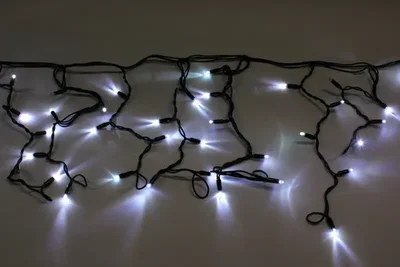 LED-RPLR-160-4.8M-24V-W/BL-F(W) W/O, Flash (НОВЫЙ КОННЕКТОР) на черн. проводе без шнура 24V/240V