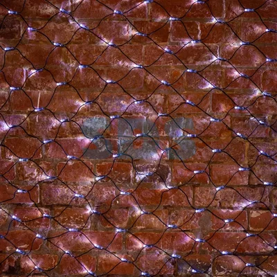 Гирлянда Сеть 2х1,5м, черный ПВХ, 288 LED Белые