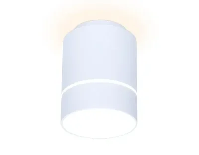Потолочный светодиодный светильник Ambrella light Techno Spot TN256