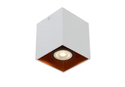 Потолочный светильник Lucide Bodibis 22966/01/31