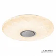Потолочный светильник iLedex Sphere ZN-XU108XD-GSR-YK