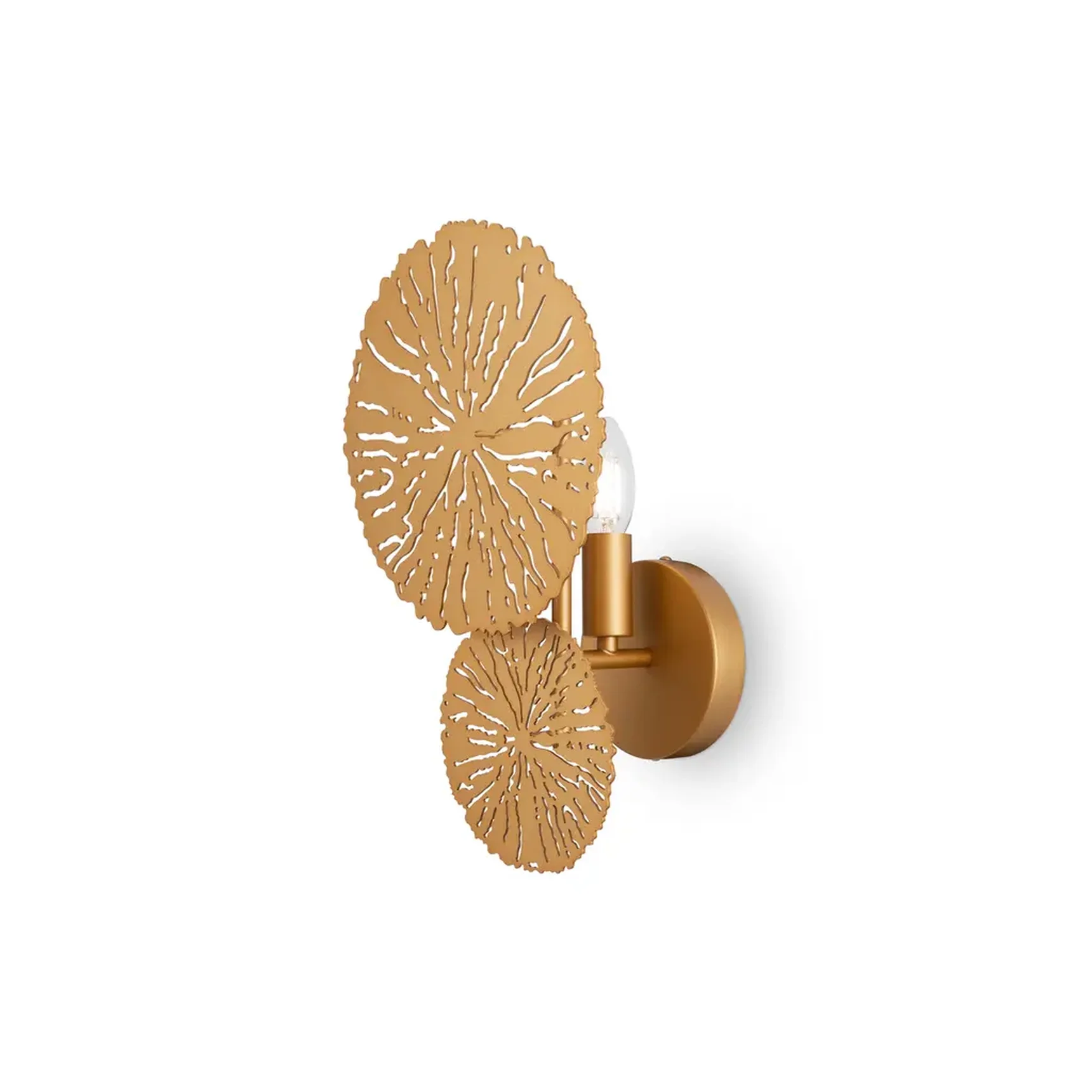 Настенный светильник (бра) Lovetann E14х1, MOD082WL-01G