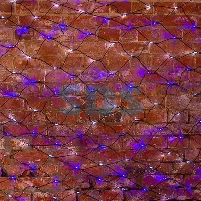 Гирлянда Сеть 2,5х2,5м, черный ПВХ, 432 LED Белые/Синие