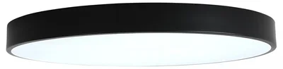 Накладной светильник Tortty ZRS.02563.96
