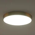 Накладной светильник Tortty ZRS.02566.72