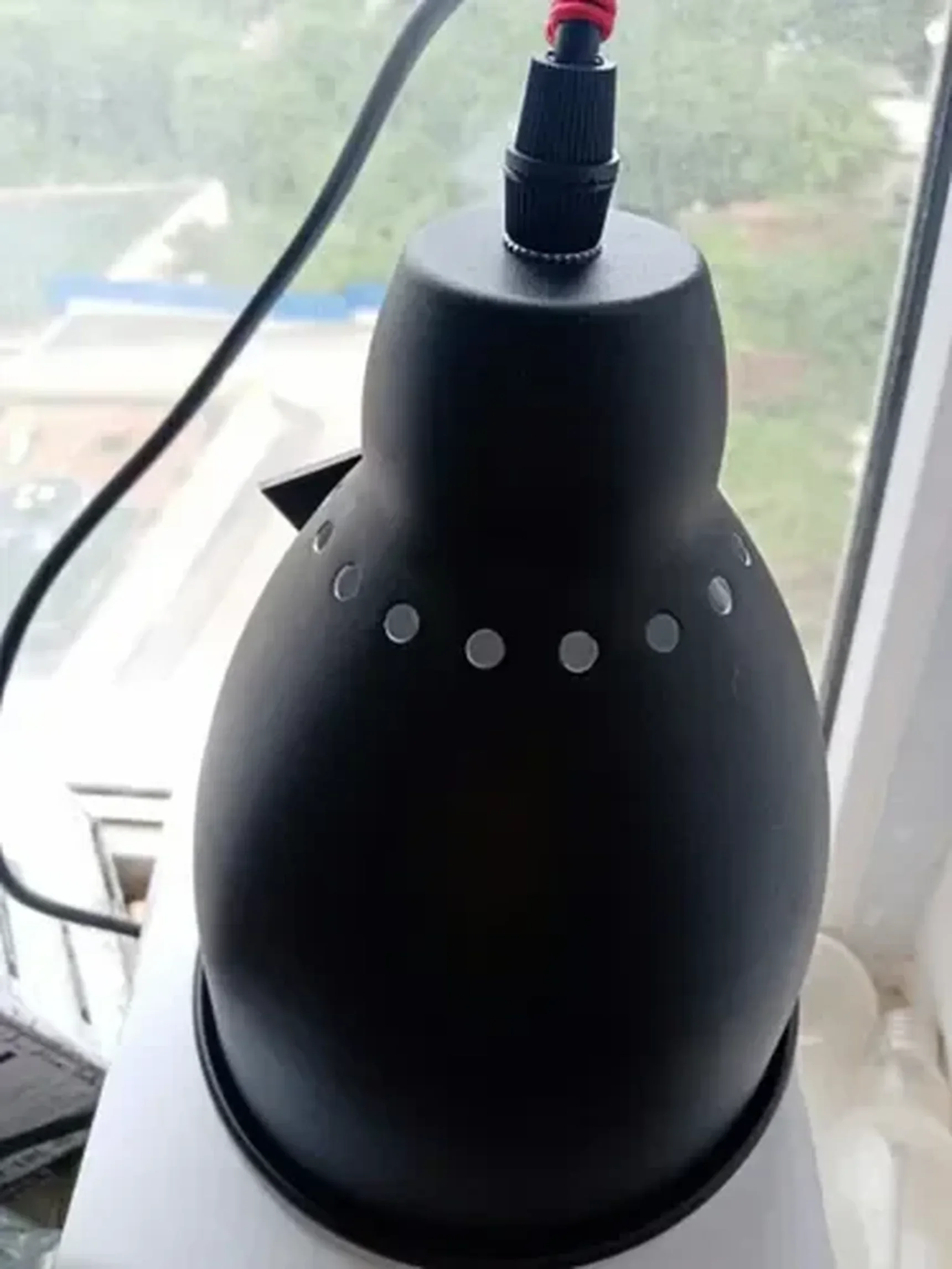 Фото из отзыва