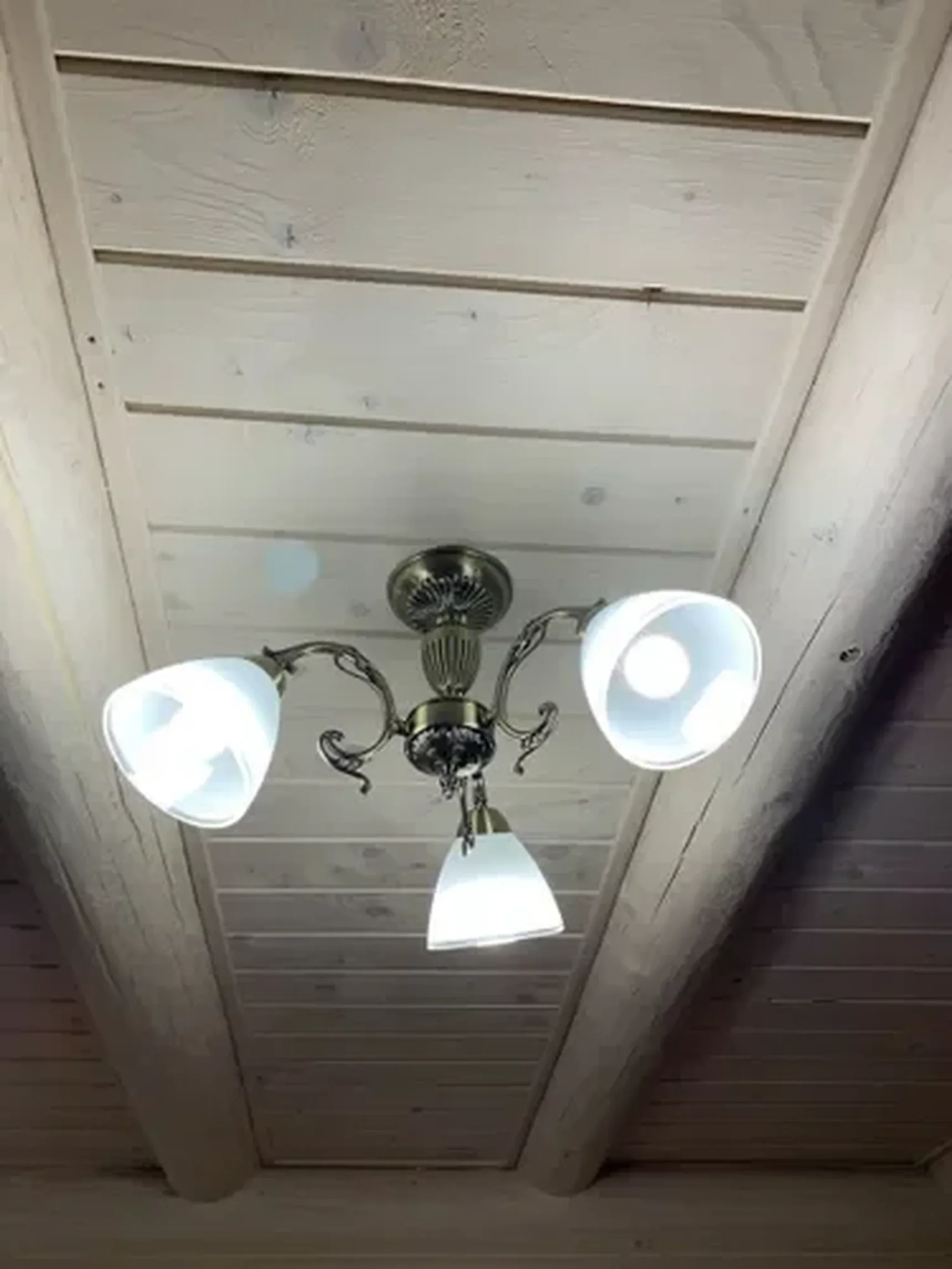 Фото из отзыва