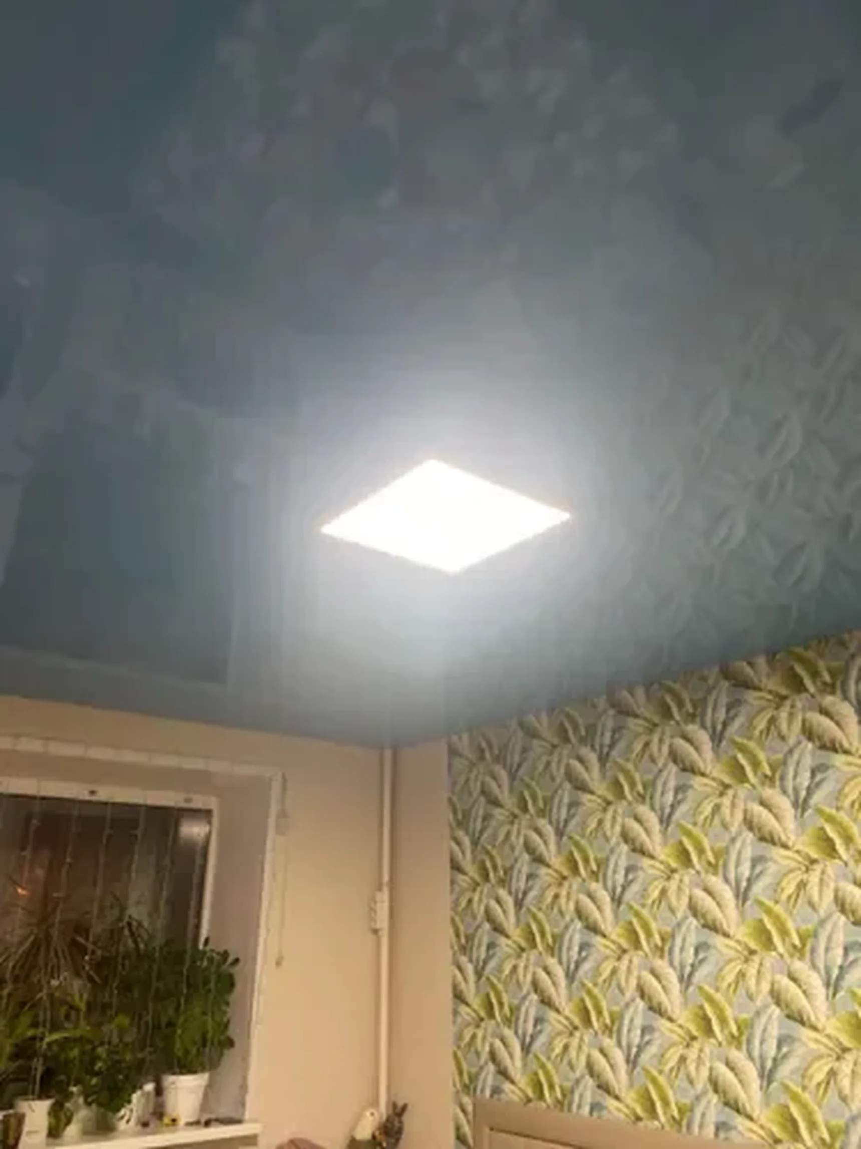 Фото из отзыва