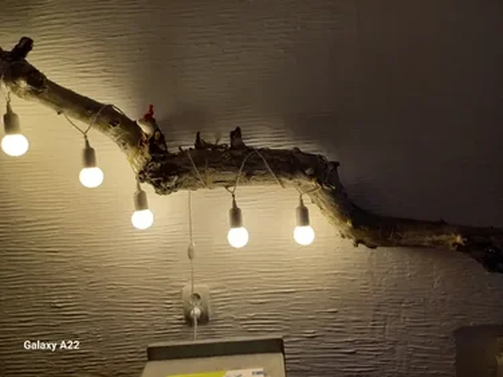 Фото из отзыва