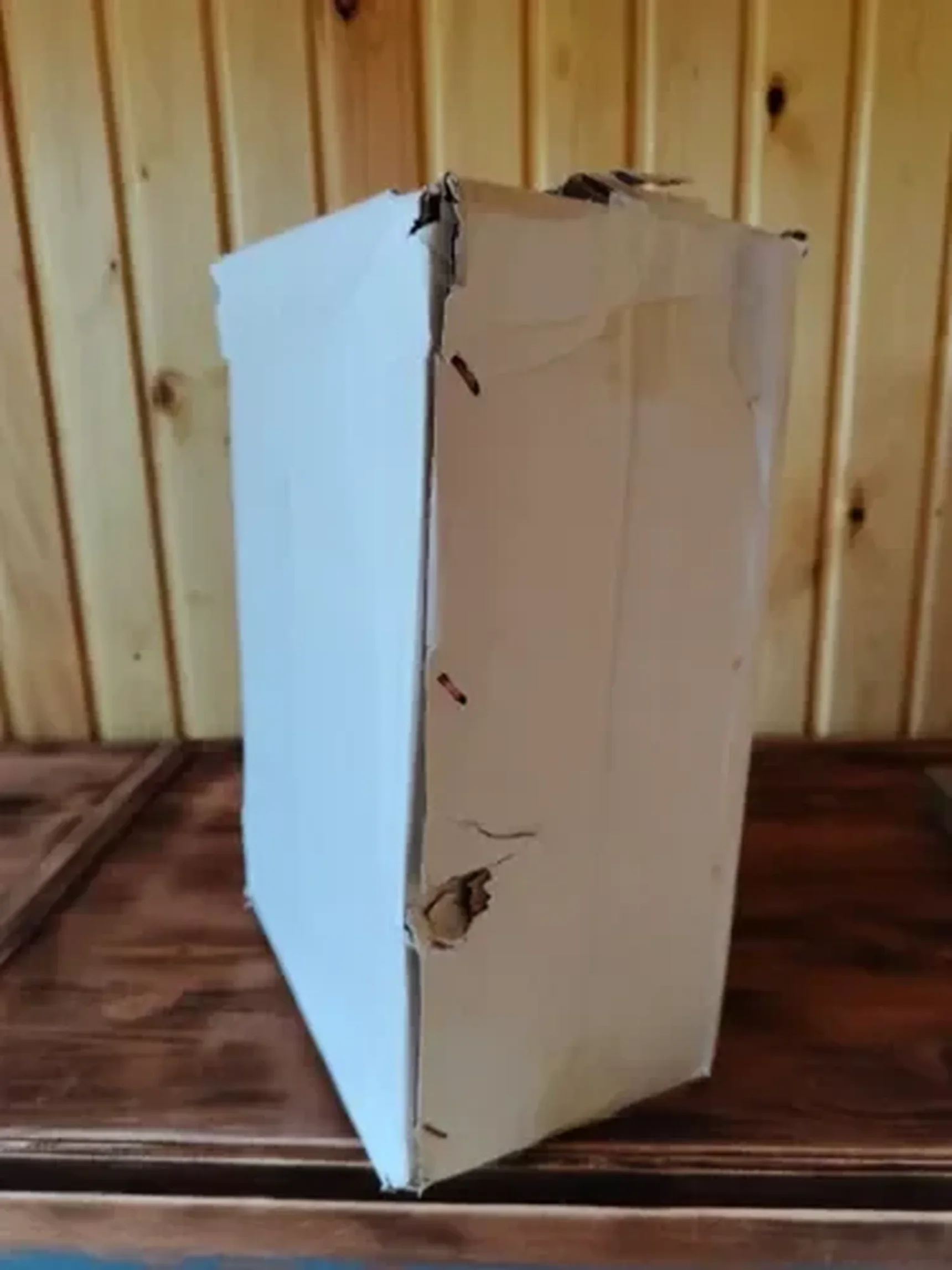 Фото из отзыва