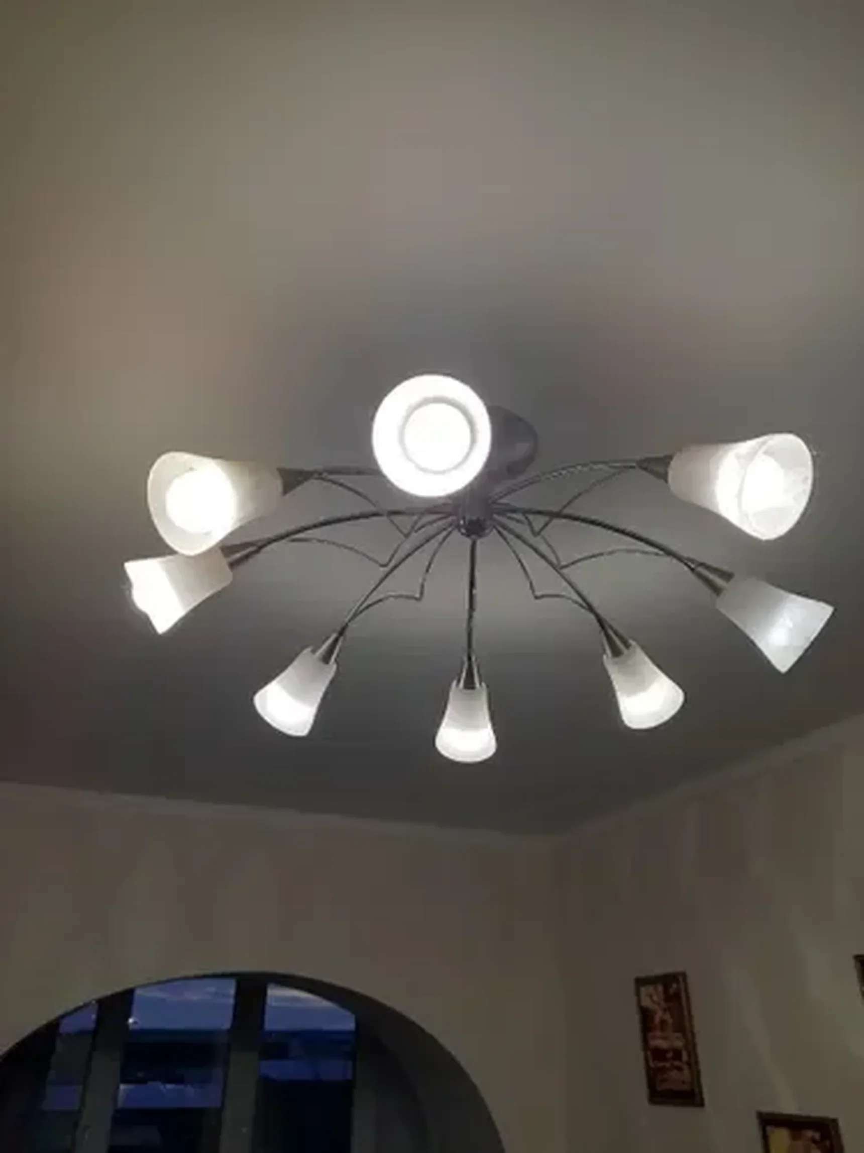 Фото из отзыва