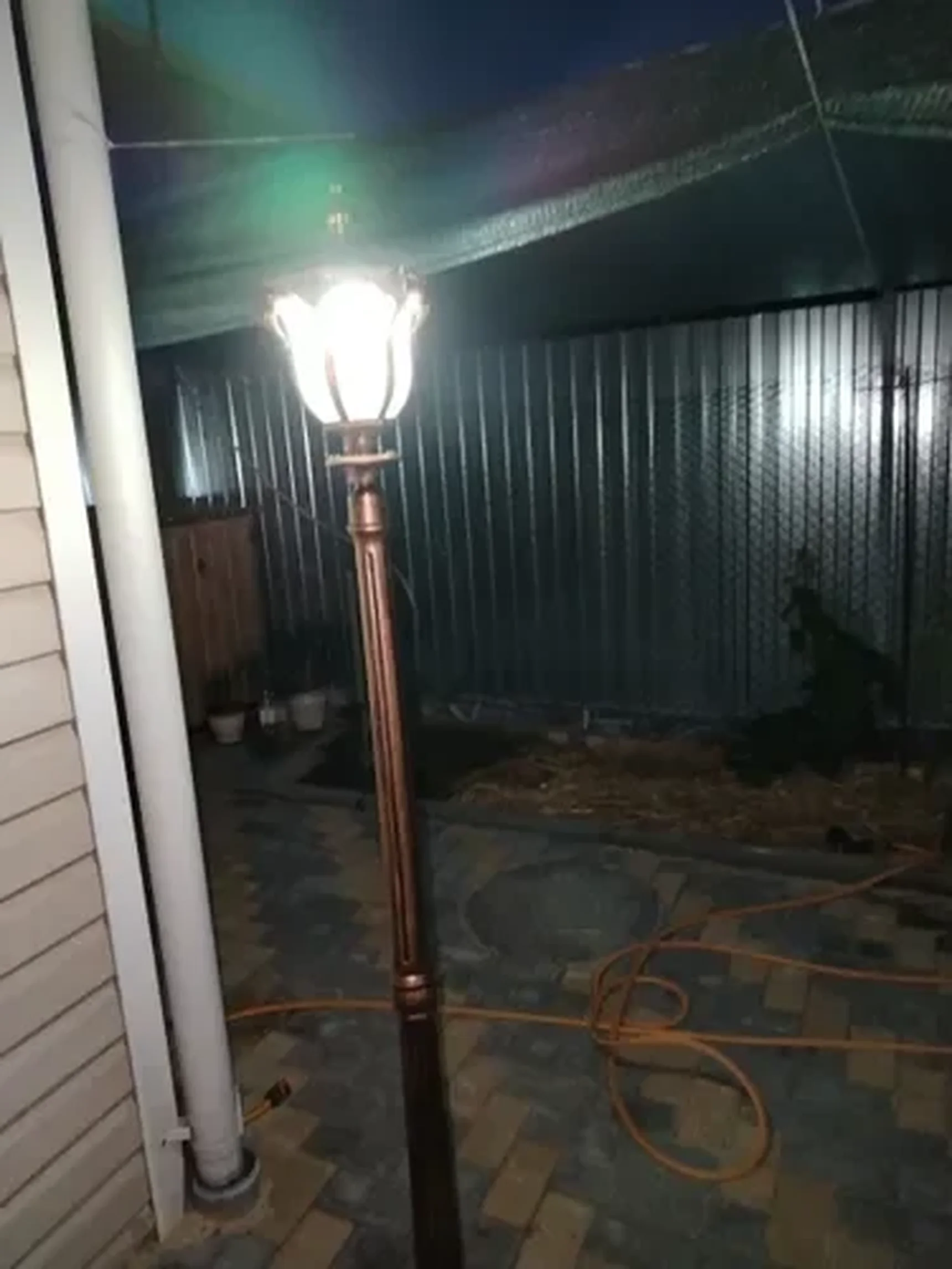 Фото из отзыва