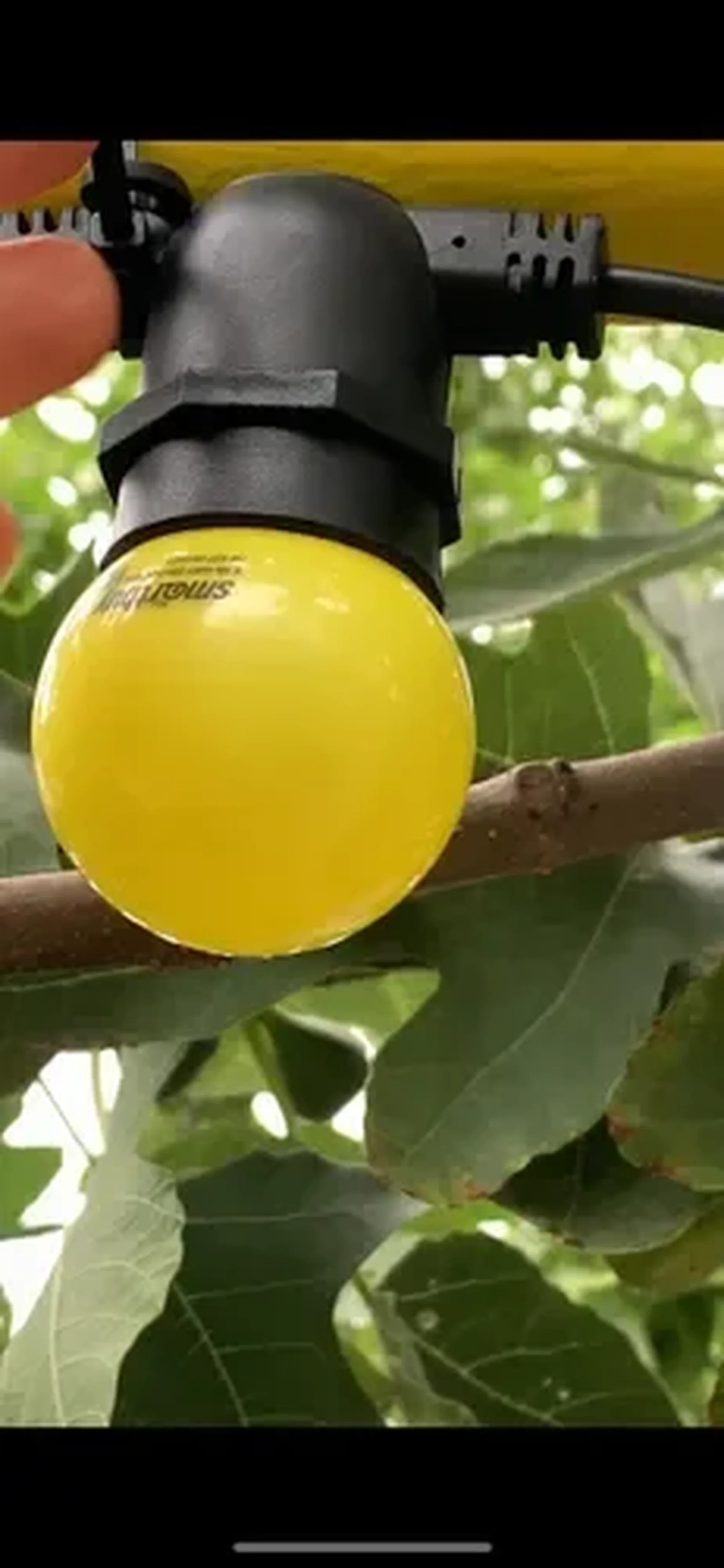 Фото из отзыва