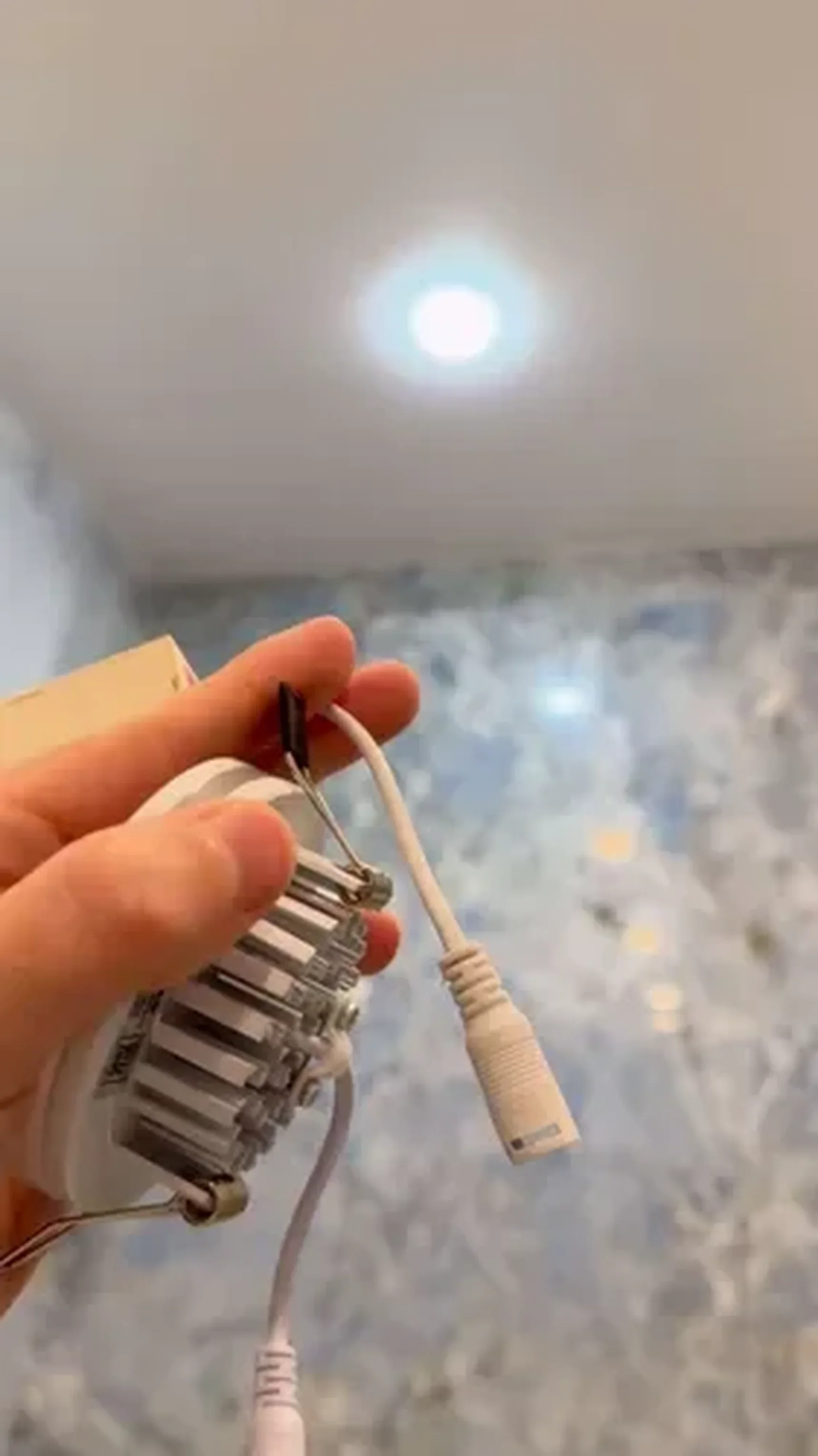 Фото из отзыва