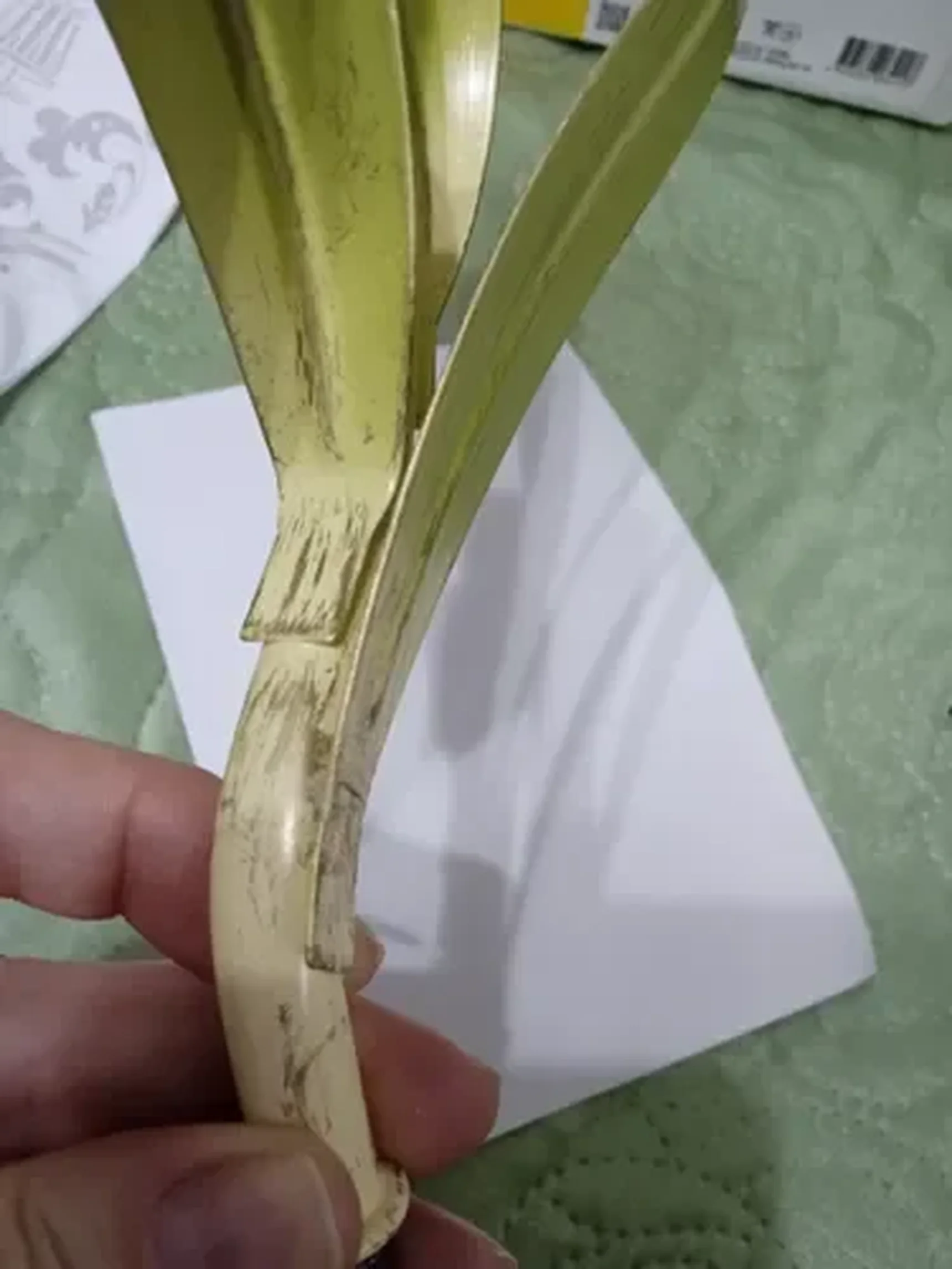 Фото из отзыва