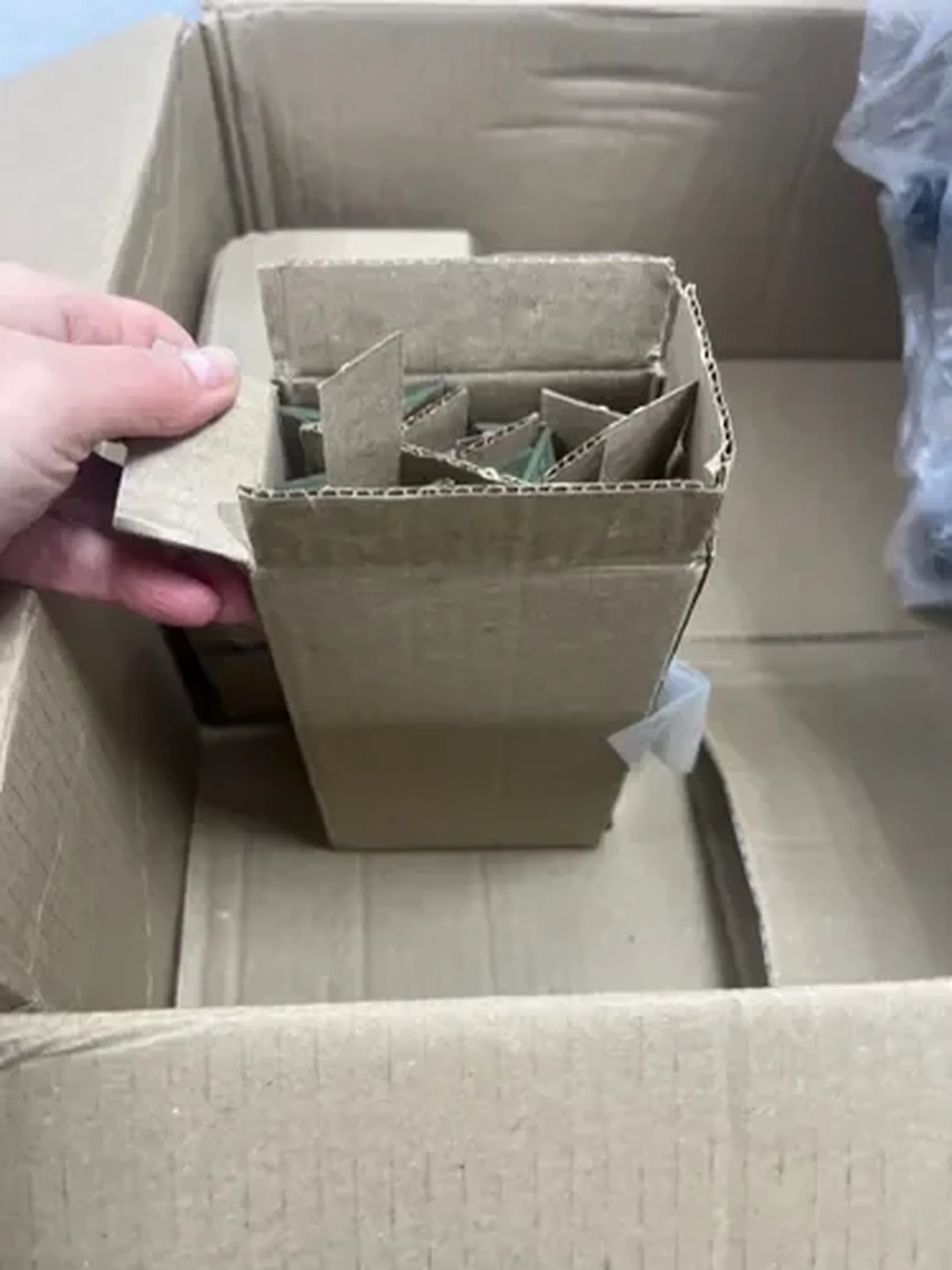 Фото из отзыва