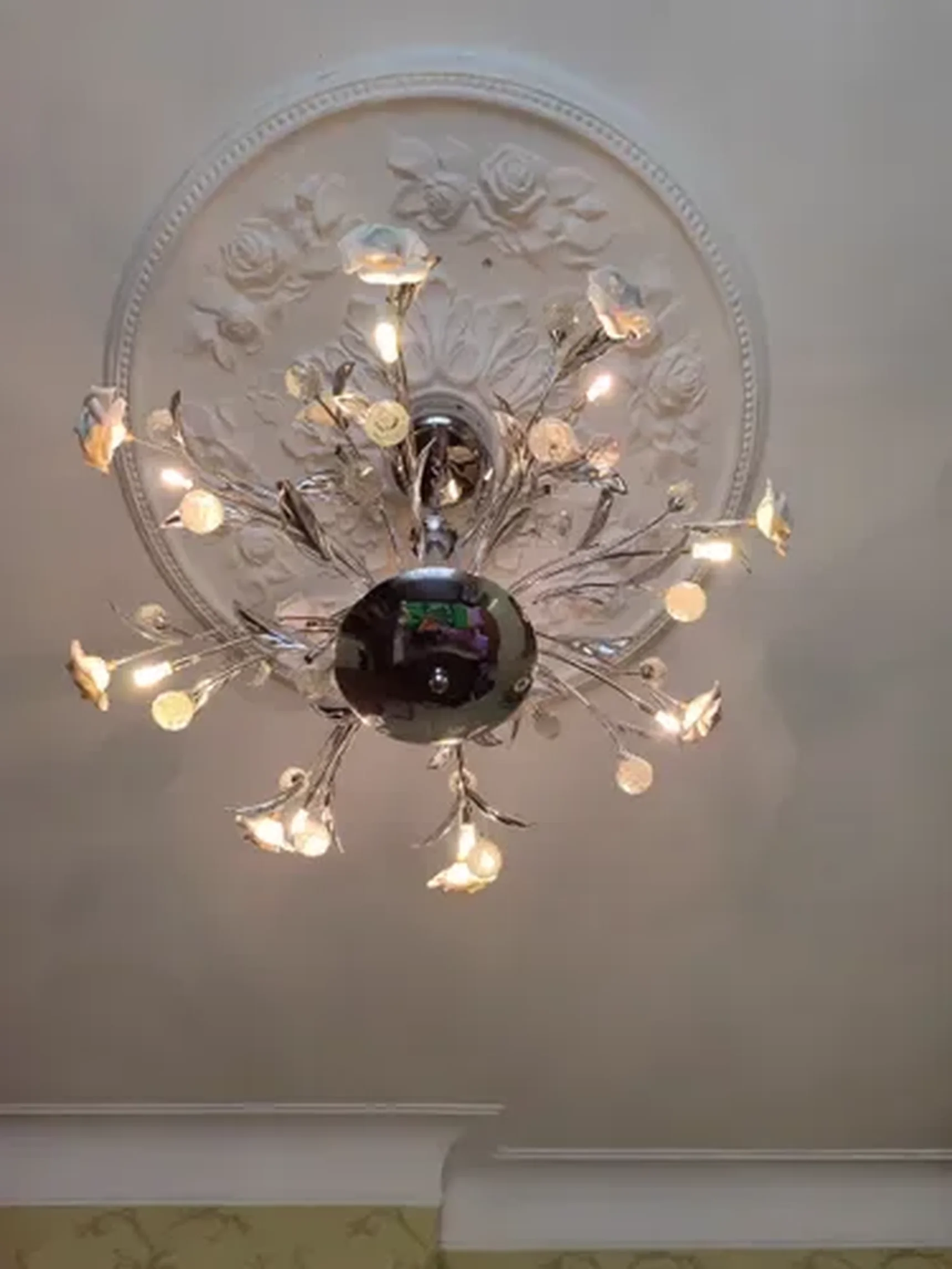 Фото из отзыва