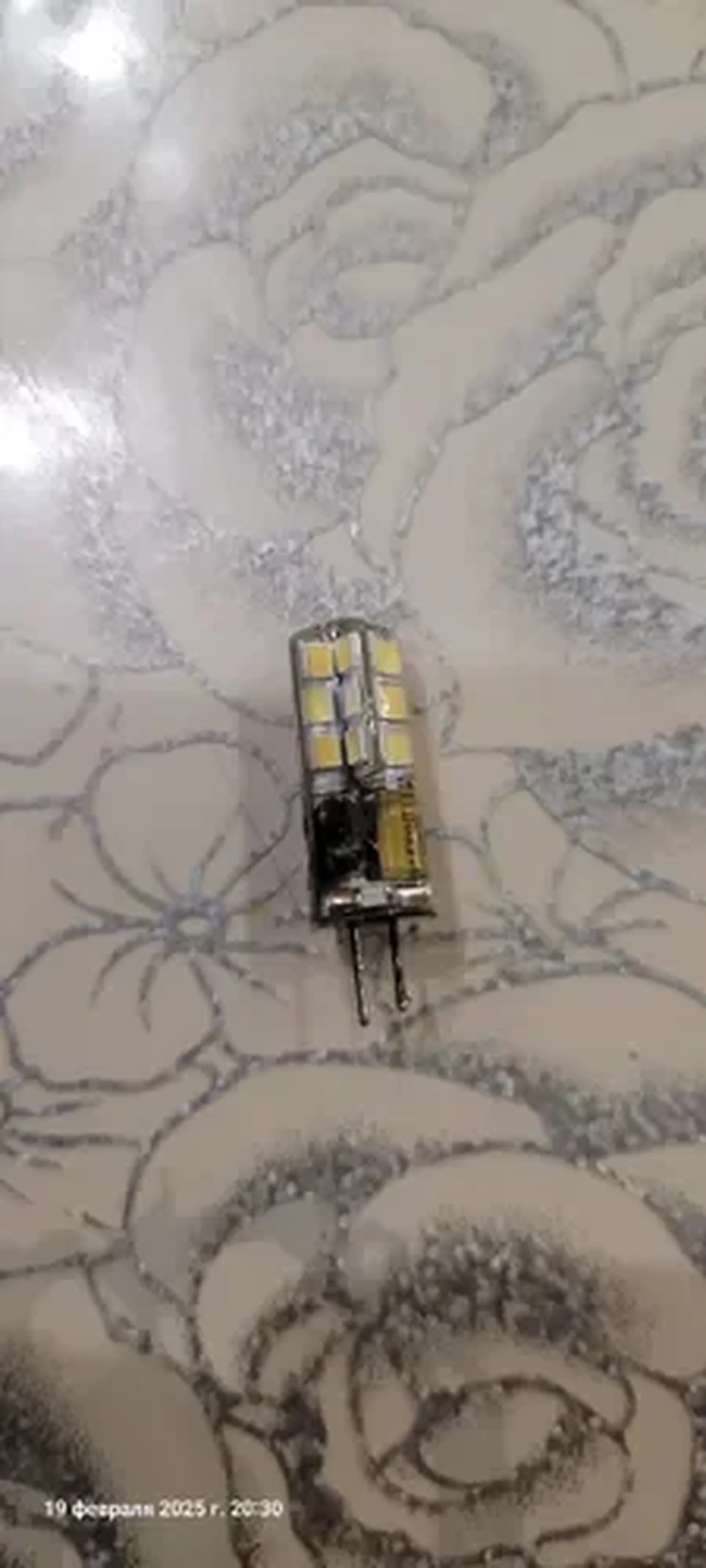 Фото из отзыва