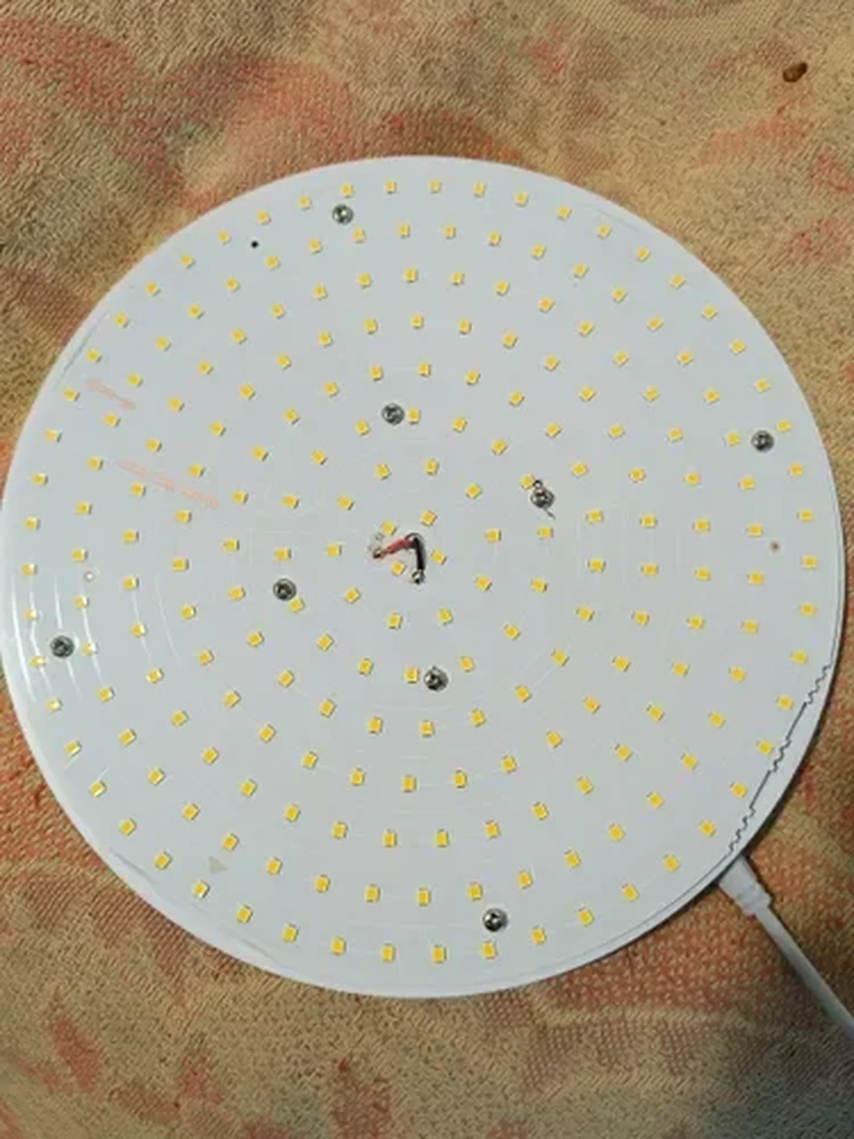 Фото из отзыва