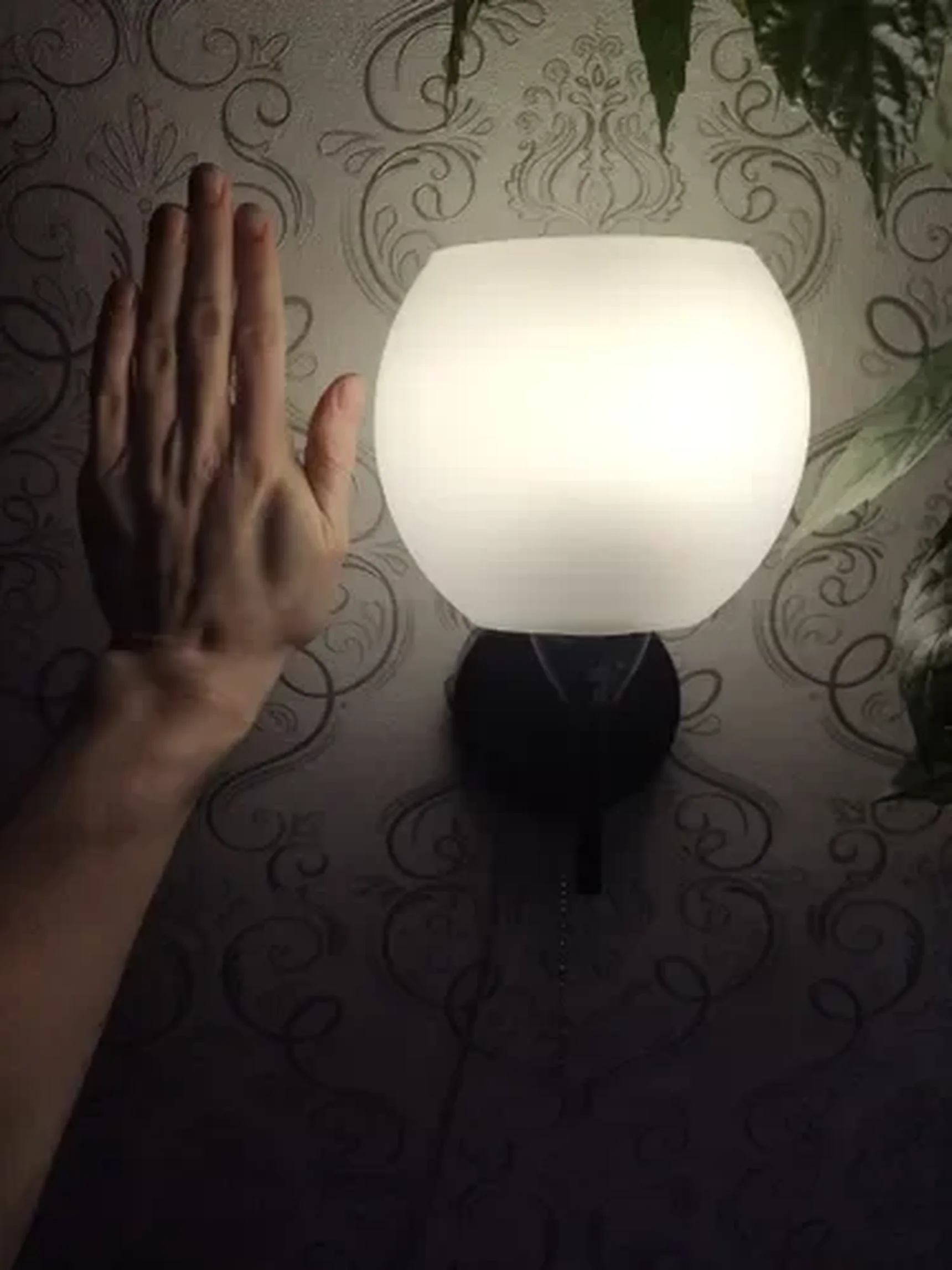 Фото из отзыва