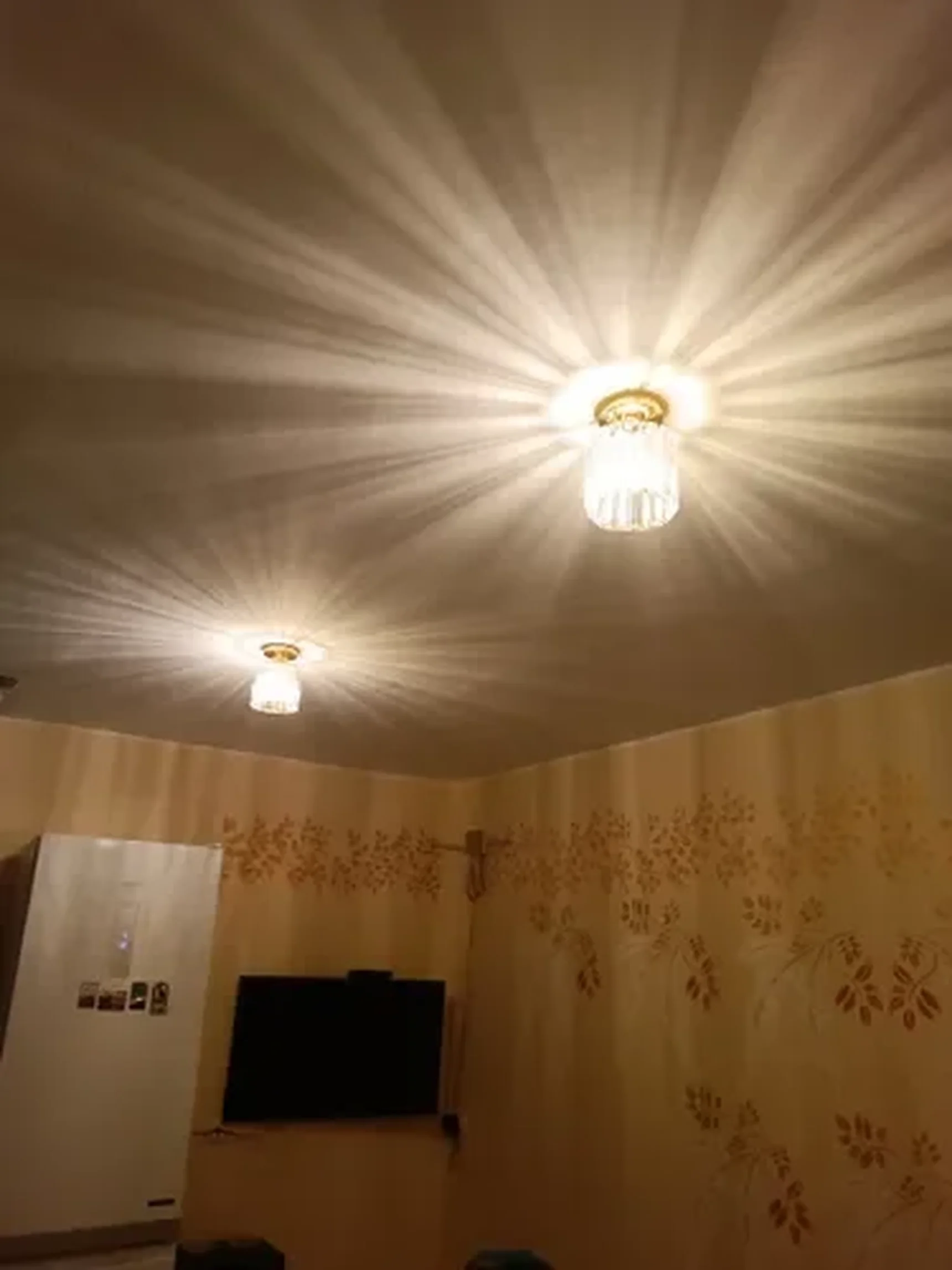 Фото из отзыва