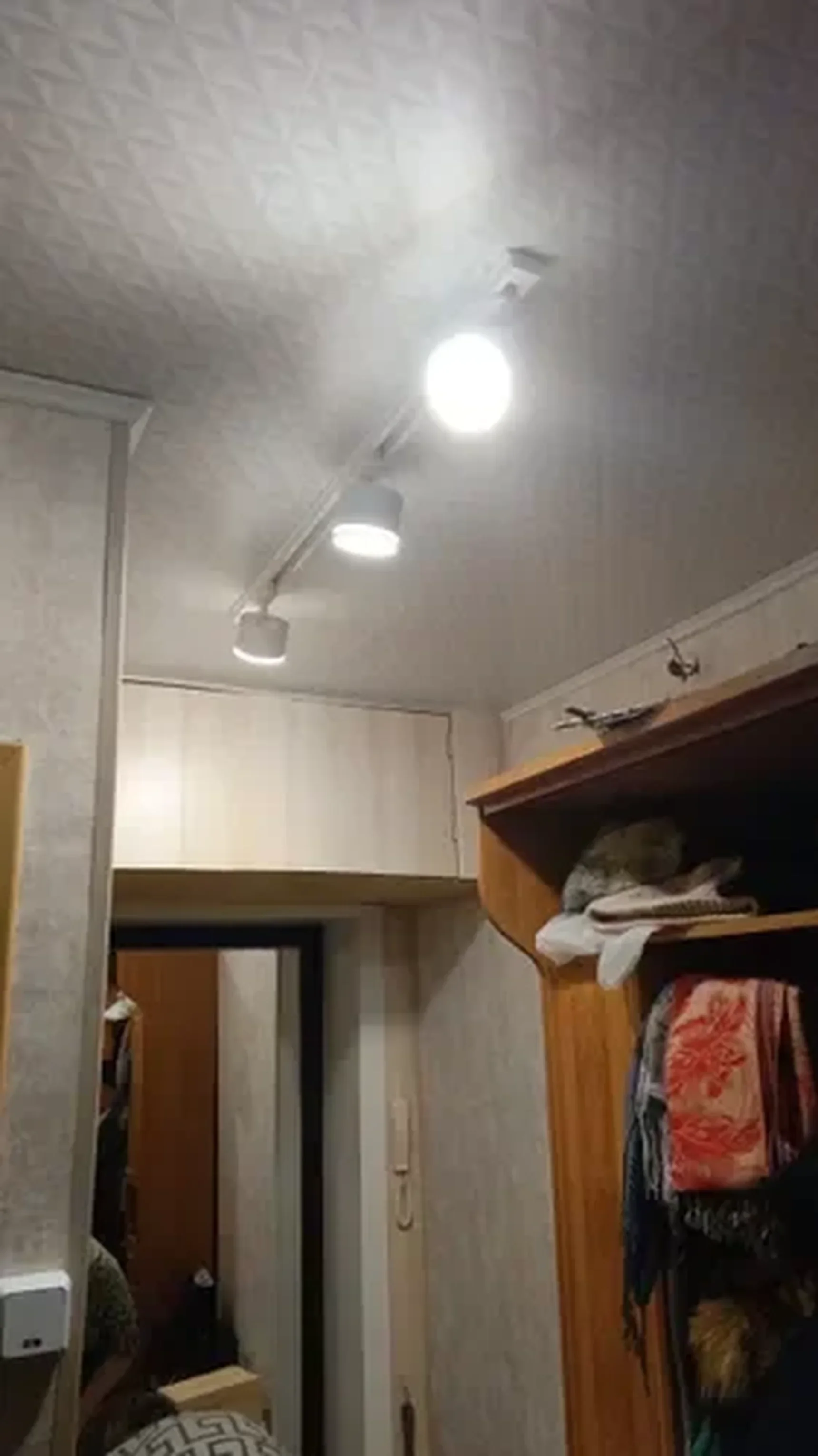 Фото из отзыва