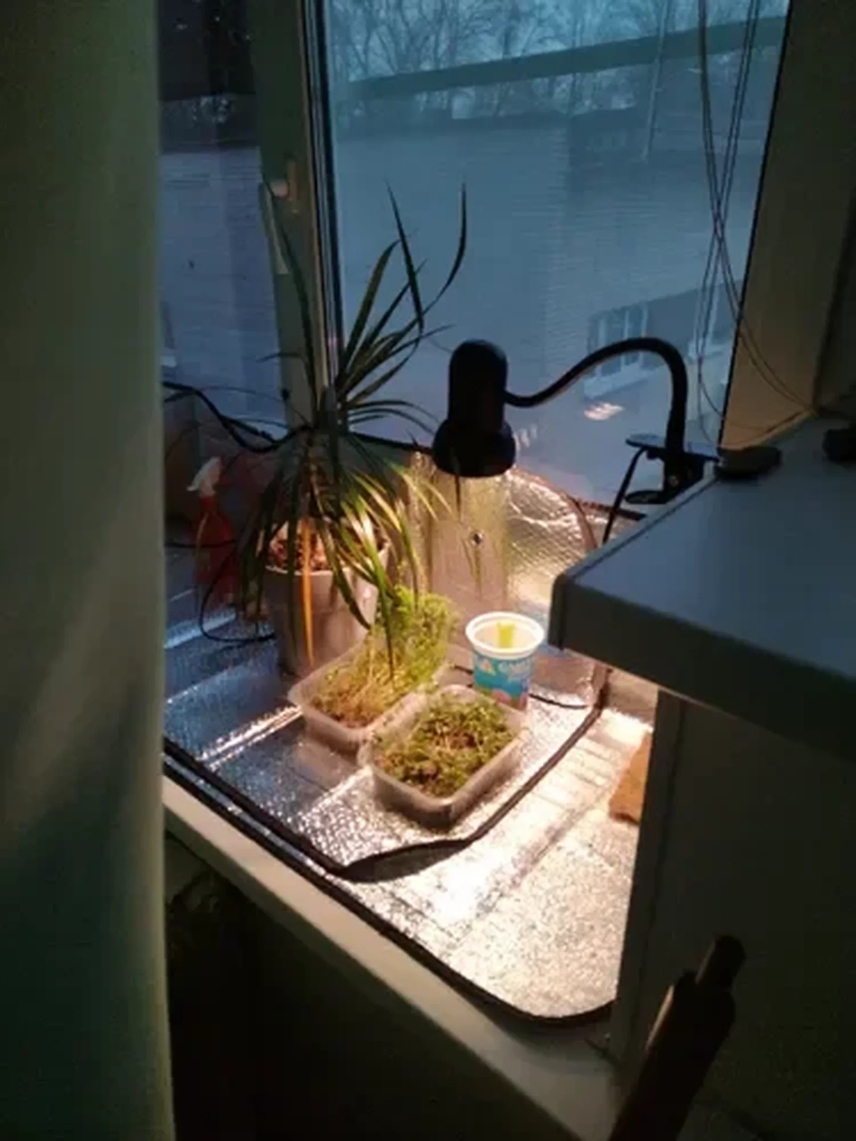 Фото из отзыва