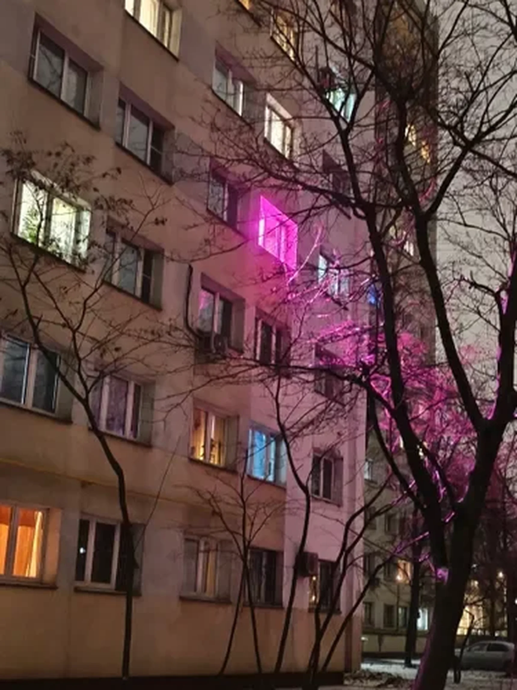 Фото из отзыва