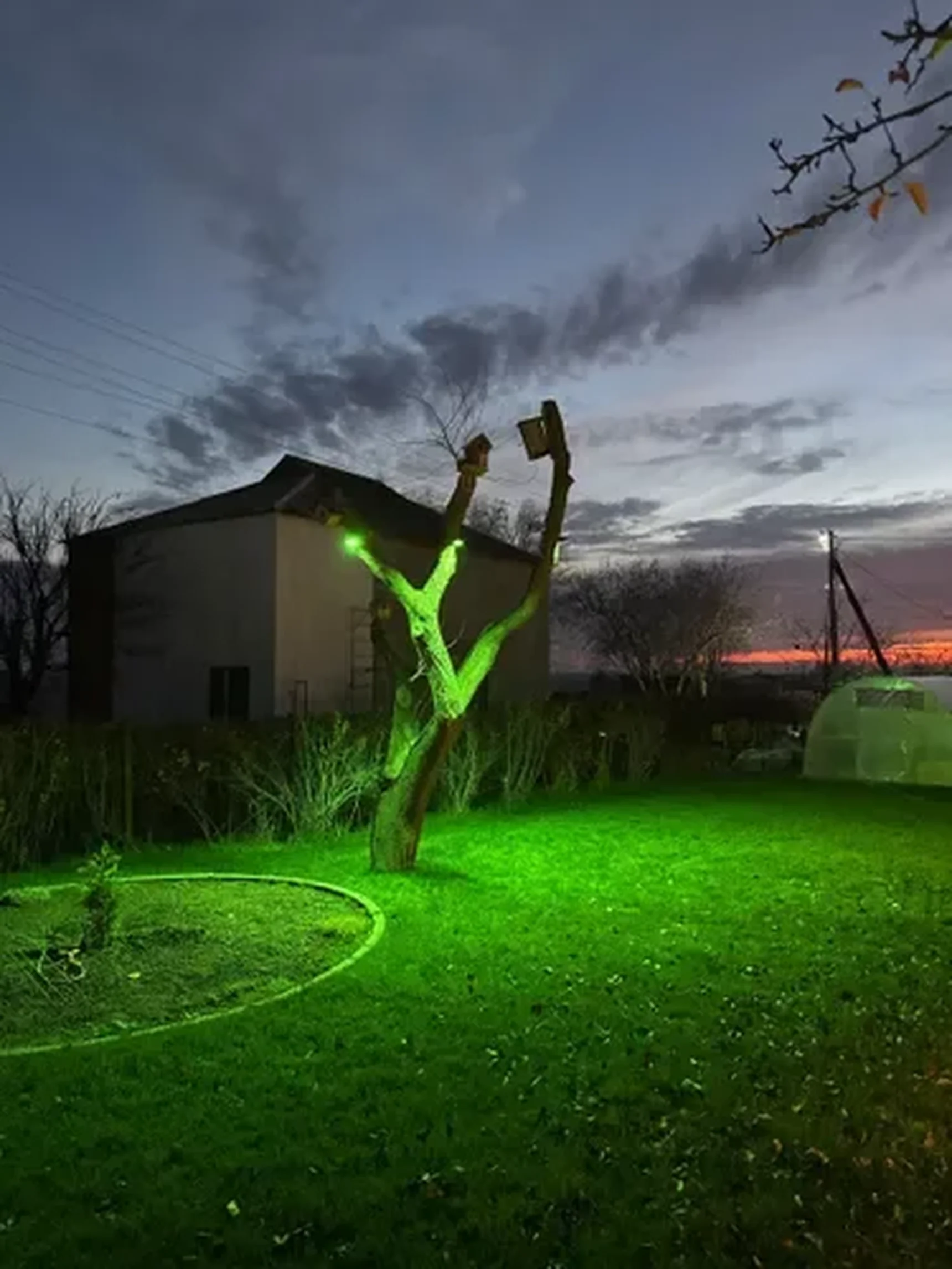 Фото из отзыва