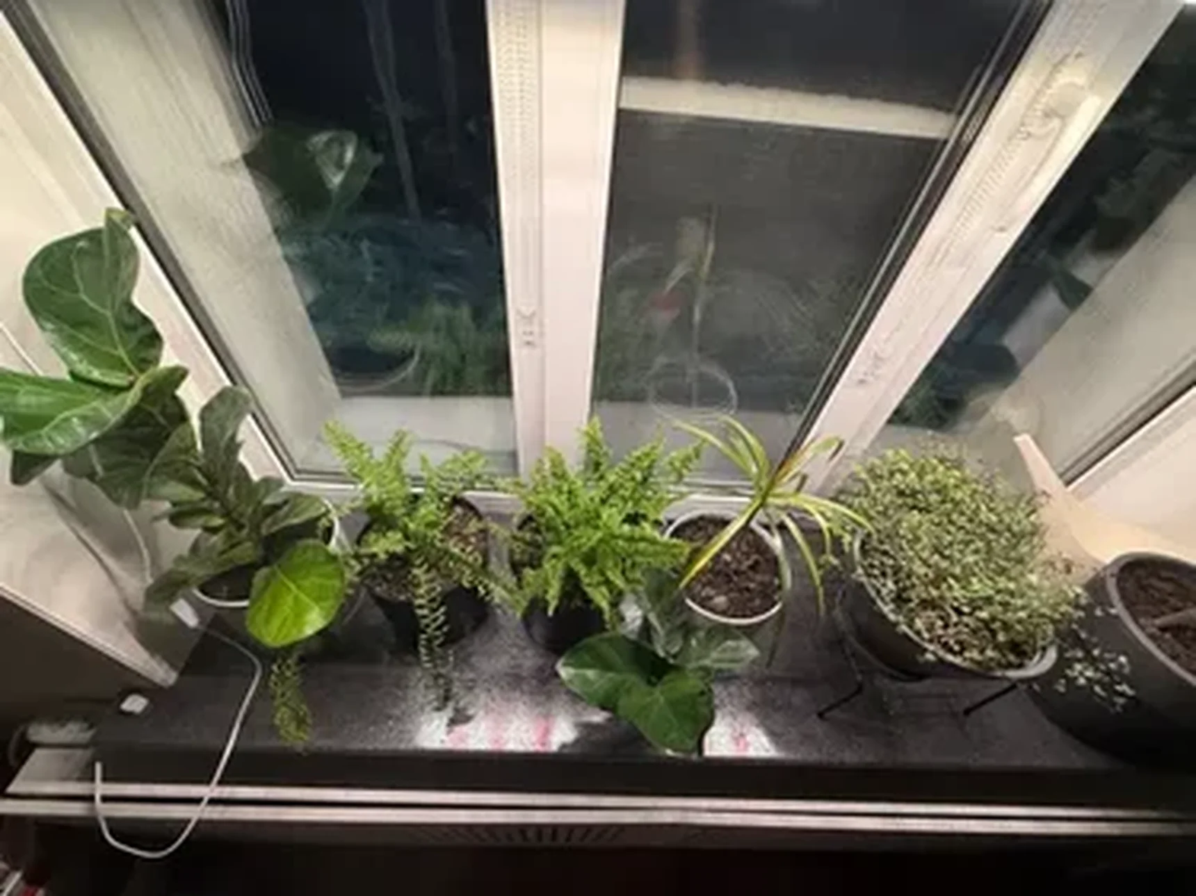 Фото из отзыва