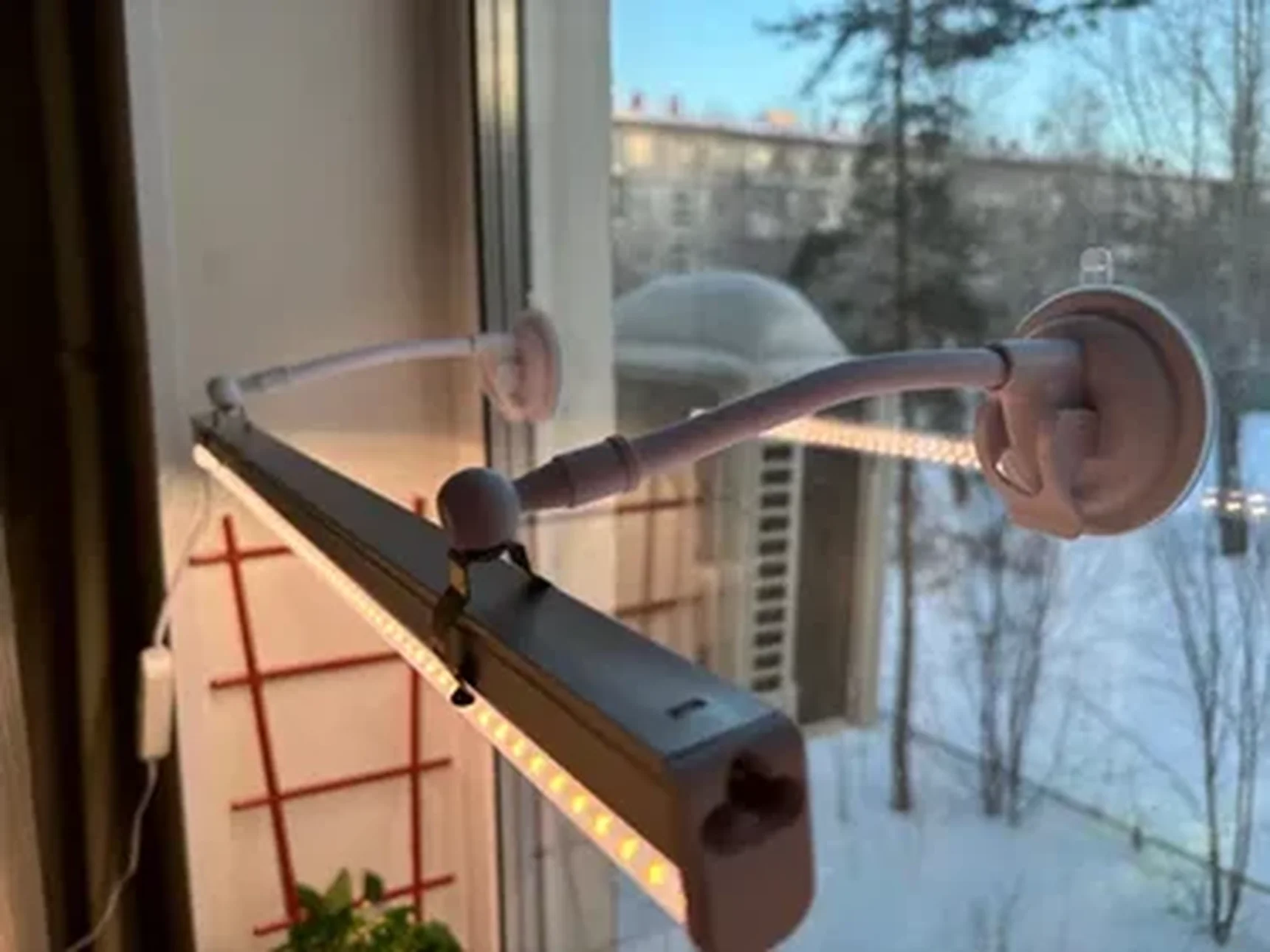 Фото из отзыва