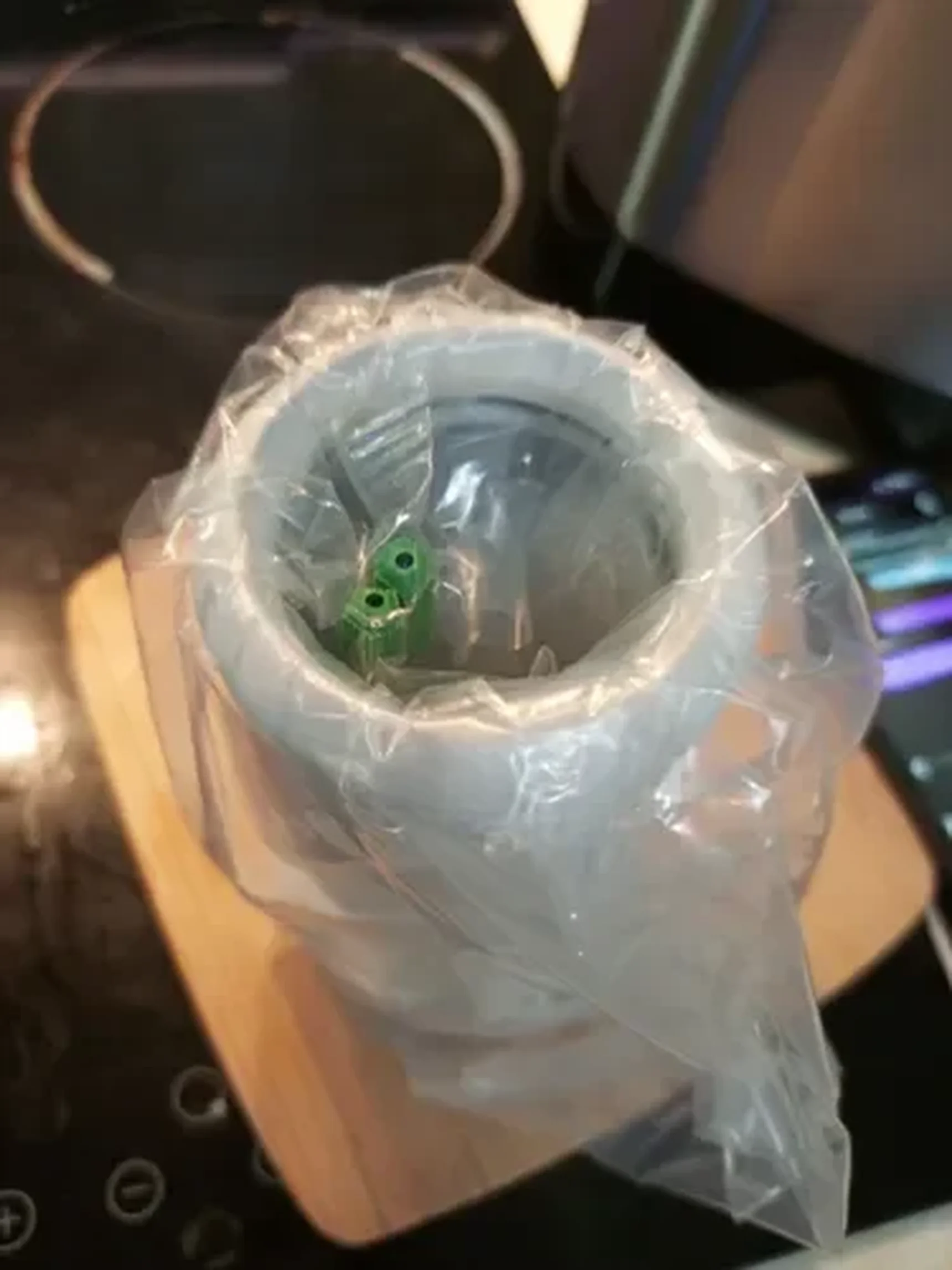 Фото из отзыва